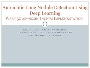 Automatic Lung Nodule Detection Using Deep Learning WEEK