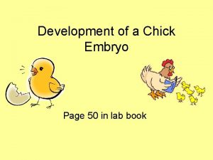 Development of a Chick Embryo Page 50 in
