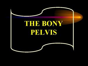 THE BONY PELVIS THE BONY PELVIS a Pelvic