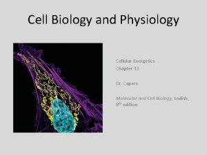 Cell Biology and Physiology Cellular Energetics Chapter 12