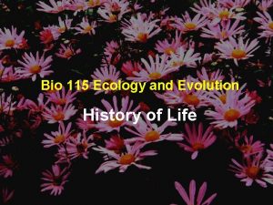 Bio 115 Ecology and Evolution History of Life