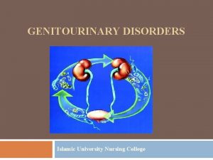 GENITOURINARY DISORDERS Islamic University Nursing College Genitourinary Tract