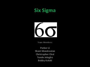 Six Sigma Team Members Parker Li Shant Mandossian