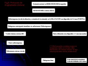 Fig 6 Protocolo de Angioplastia Ureteral Estenosis ureteral