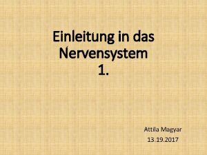 Einleitung in das Nervensystem 1 Attila Magyar 13