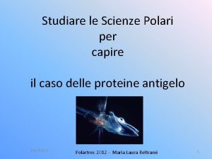 Studiare le Scienze Polari per capire il caso