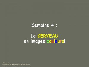 Semaine 4 Le CERVEAU en images couleurs Julie