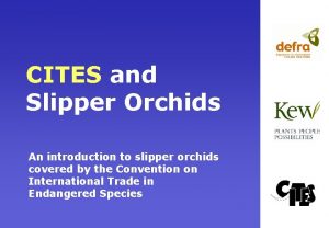 CITES and Slipper Orchids An introduction to slipper