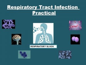 Respiratory Tract Infection Practical RESPIRATORY BLOCK Type of