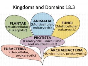 Kingdoms and Domains 18 3 Domain Most inclusive