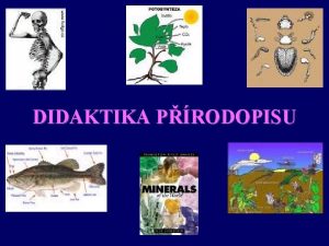 DIDAKTIKA PRODOPISU vda o vuce prodopisu didaktika biologie