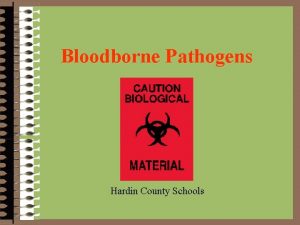 Bloodborne Pathogens Hardin County Schools What Are Bloodborne