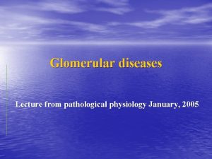 Glomerular diseases Lecture from pathological physiology January 2005