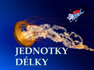 JEDNOTKY DLKY 1 mm milimetr 10 mm centimetr