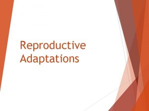 Reproductive Adaptations Asexual Reproduction An organism produces offspring