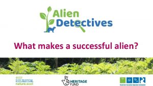 What makes a successful alien More activities at