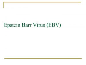 Epstein Barr Virus EBV n n n Herpesviridae