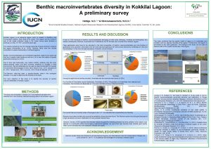 Benthic macroinvertebrates diversity in Kokkilai Lagoon A preliminary