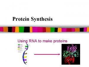 Protein Synthesis Using RNA to make proteins Going