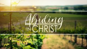 HOW TO ABIDE IN CHRIST JOHN 15 111