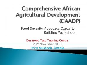 Comprehensive African Agricultural Development CAADP Food Security Advocacy