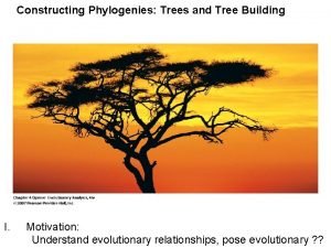 Constructing Phylogenies Trees and Tree Building I Motivation