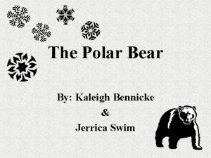 The Polar Bear By Kaleigh Bennicke Jerrica Swim