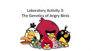 Laboratory Activity 3 The Genetics of Angry Birds