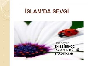 SLAMDA SEVG Hazrlayan ENSE ERKO AYDIN L MFT