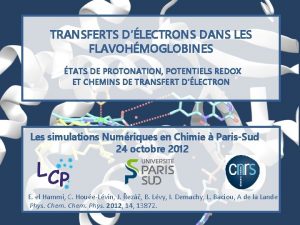 TRANSFERTS DLECTRONS DANS LES FLAVOHMOGLOBINES TATS DE PROTONATION