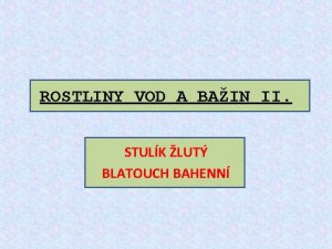 ROSTLINY VOD A BAIN II STULK LUT BLATOUCH