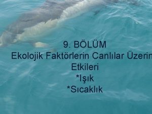 9 BLM Ekolojik Faktrlerin Canllar zerin Etkileri Ik