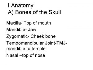 I Anatomy A Bones of the Skull Maxilla