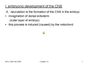 I embryonic development of the CNS A neurulation