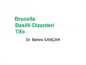 Brucella Basilli Dizanteri Tifo Dr Behire SANAR BRUCELLA