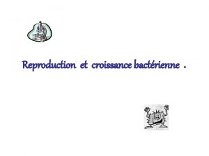 Reproduction et croissance bactrienne Elments favorables la reproduction