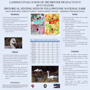 LANDSAT EVALUATION OF TRUMPETER SWAN CYGNUS BUCCINATOR HISTORICAL