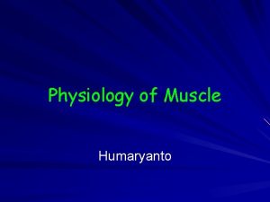 Physiology of Muscle Humaryanto TIPE OTOT Otot Skeletal