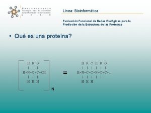 Lnea Bioinformtica Evaluacin Funcional de Redes Biolgicas para