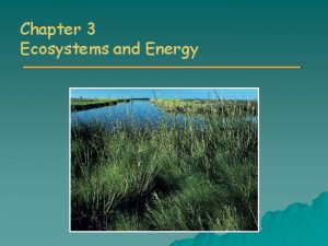 Chapter 3 Ecosystems and Energy Ecology o Ecology