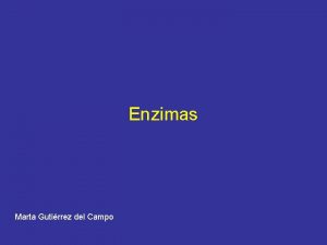 Enzimas Marta Gutirrez del Campo Enzimas Las enzimas