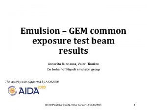 Emulsion GEM common exposure test beam results Annarita