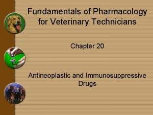 Fundamentals of Pharmacology for Veterinary Technicians Chapter 20