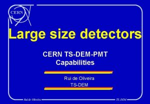CERN Large size detectors CERN TSDEMPMT Capabilities Rui