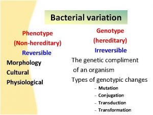 Bacterial variation Phenotype Nonhereditary Reversible Morphology Cultural Physiological