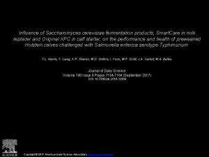 Influence of Saccharomyces cerevisiae fermentation products Smart Care