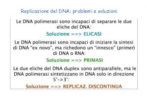 Replicazione del DNA problemi e soluzioni La replicazione