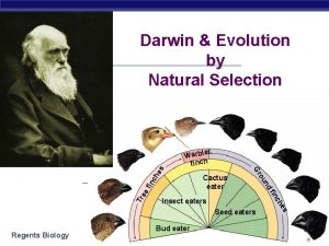 Darwin Evolution by Natural Selection ch he fin