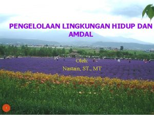 PENGELOLAAN LINGKUNGAN HIDUP DAN AMDAL Oleh Nastain ST