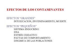 EFECTOS DE LOS CONTAMINANTES EFECTOS GRANDES INTOXICACION ENVENENAMIENTO